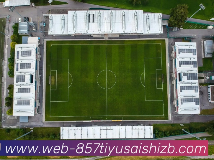 多媒体互动体验